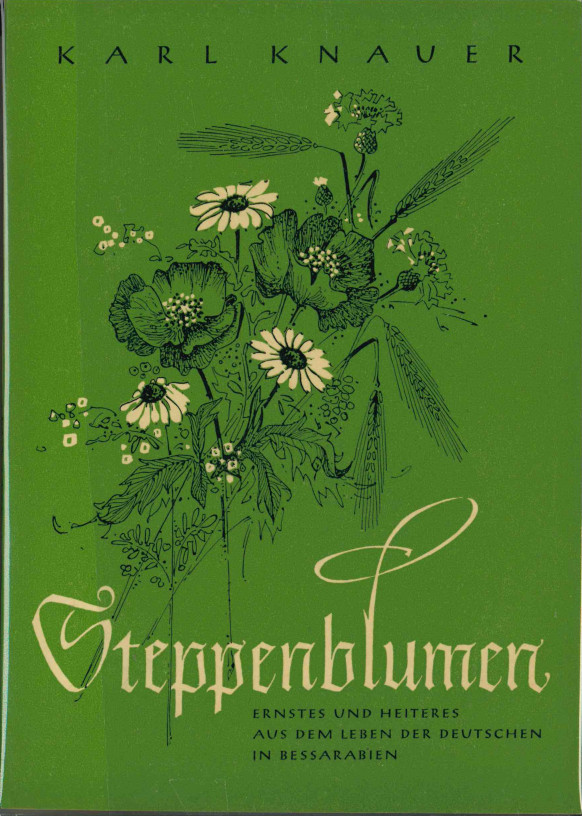 Steppenblumen