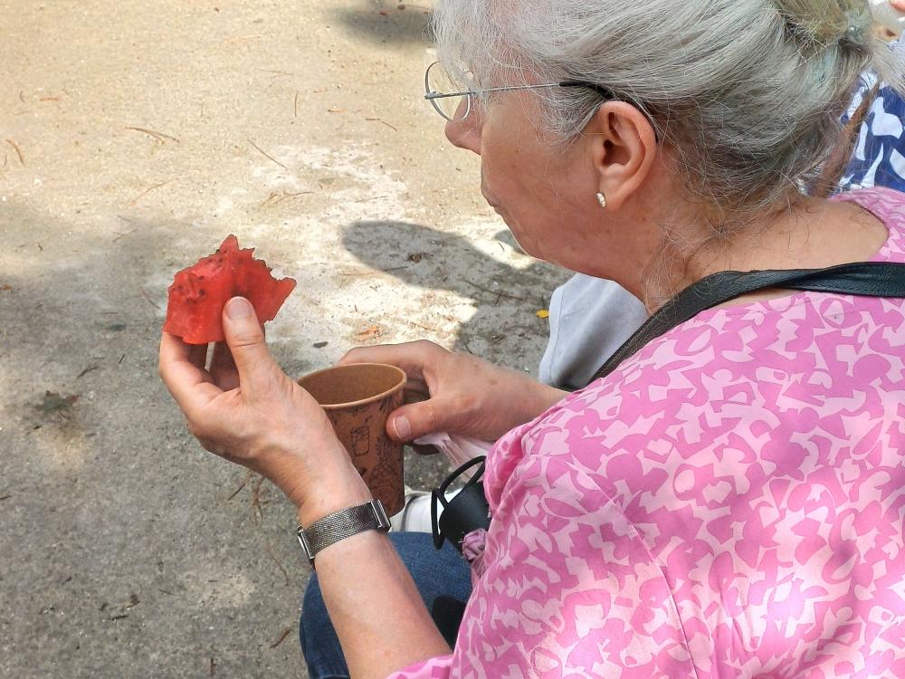 Die „Harbusen“ waren eine gelungene Überraschung, Foto: AN