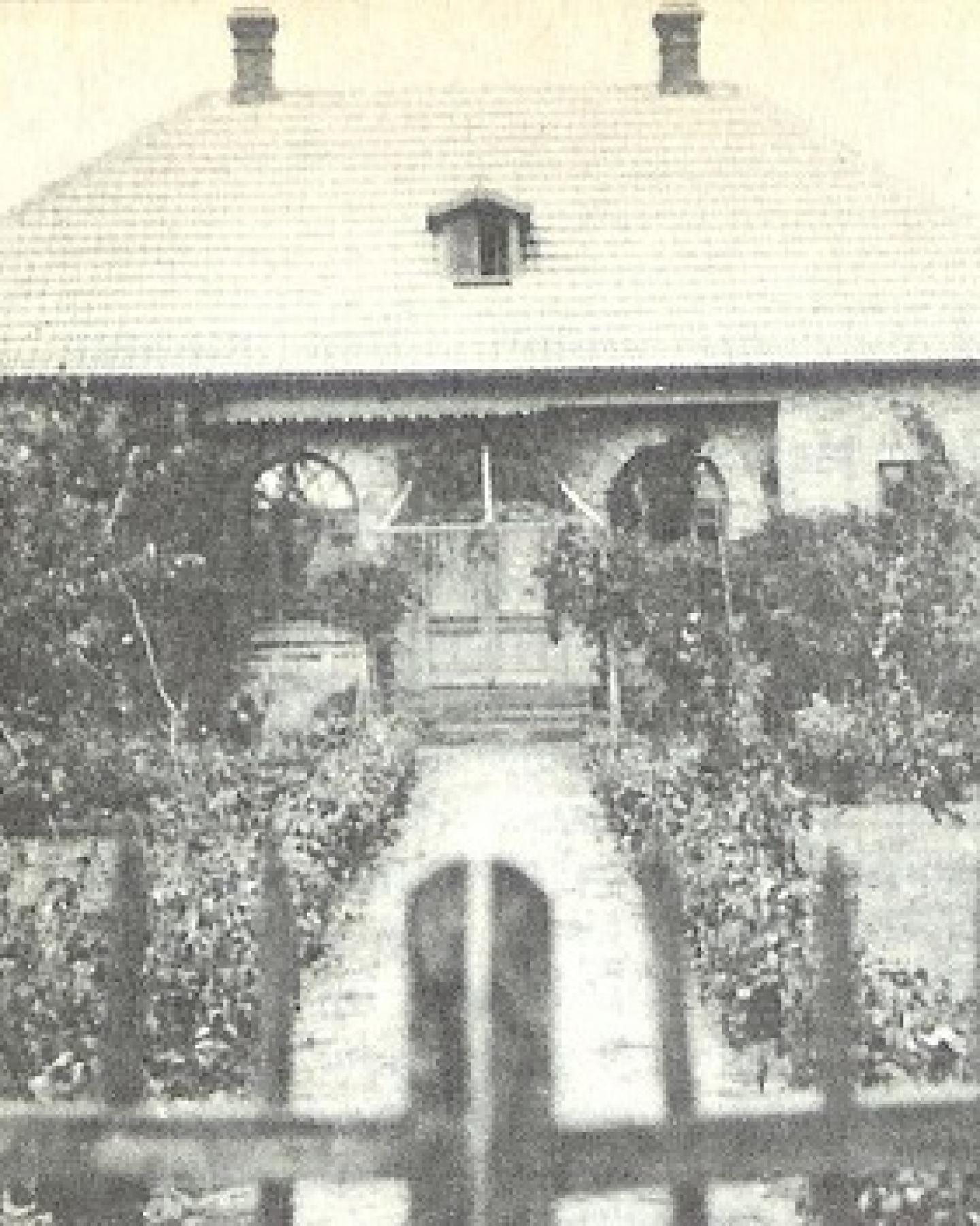 Andrejewka