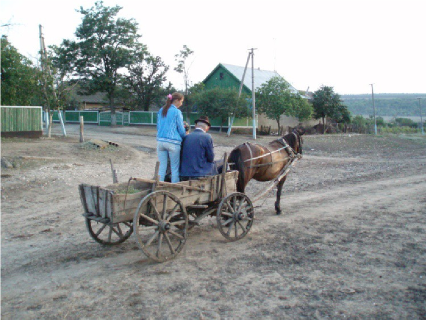 Pferdewagen 2006