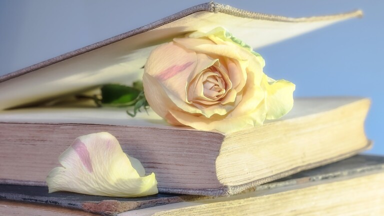 Vielen Dank unsere Museumspaten