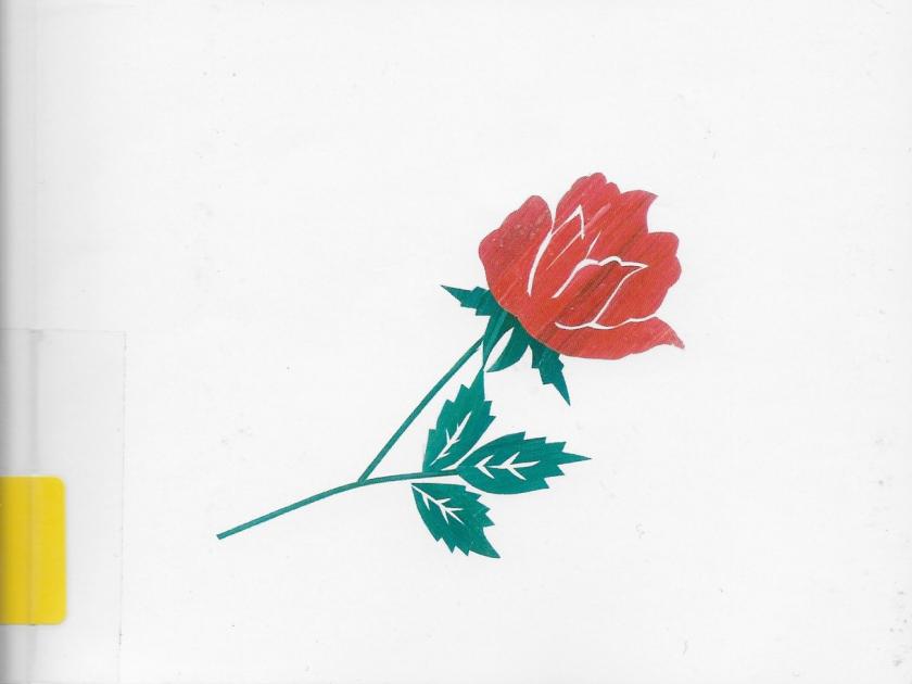 Das Buch der Alma Ellwanger